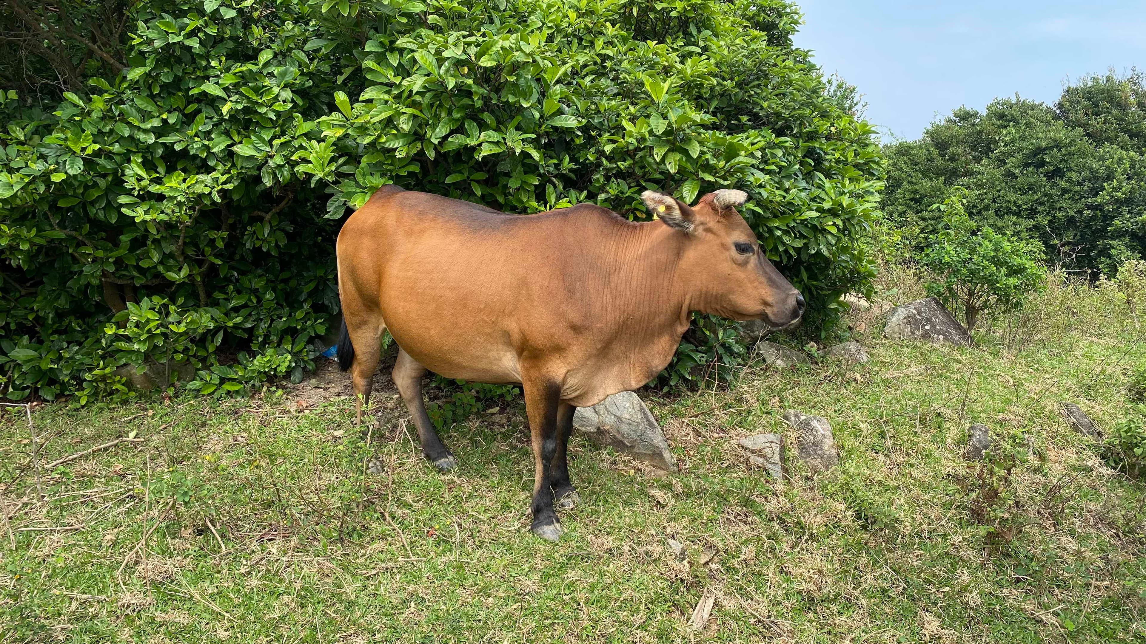 香港户外